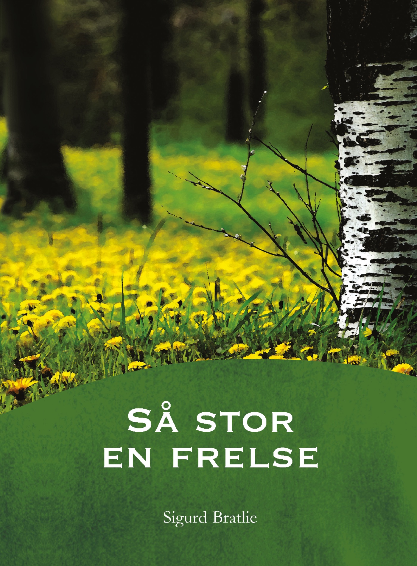 Så stor en frelse